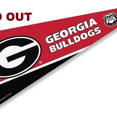 Georgia Single Game pass
