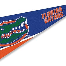 Florida Single Game pass